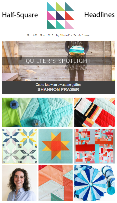 Shannon Fraser featured in Michelle Bartholomew's Newsletter | 2017 Year in Review + 2018 Goal Setting | Shannon Fraser Designs | Modern Quilting
