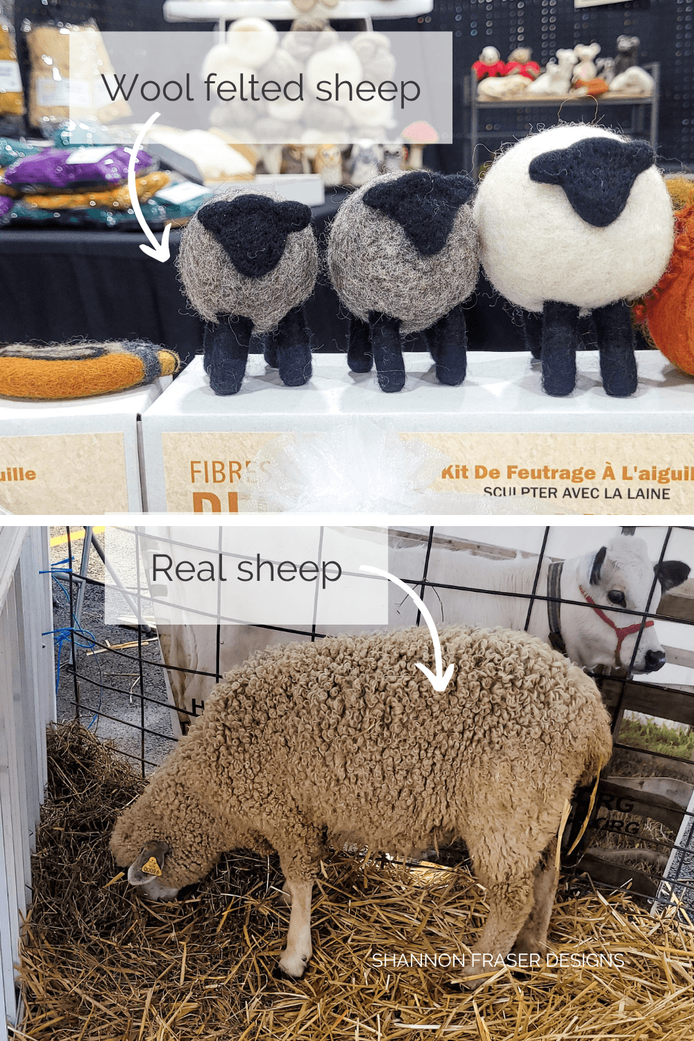 From sheep to skein—celebrate sustainable fiber practices and farm-fresh wool at Twist Fiber Festival. #twistfiberfestival