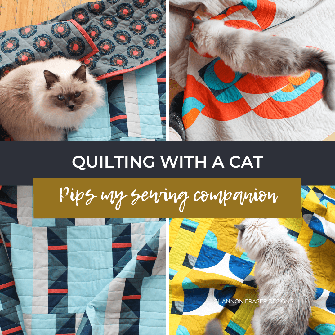 Quilting with a cat is never boring 🐾 This heartfelt story shares how my sewing companion Pips became my official quilt quality control inspector—testing every quilt for softness and comfort. #quiltingwithacat #sewingcompanion #quilting